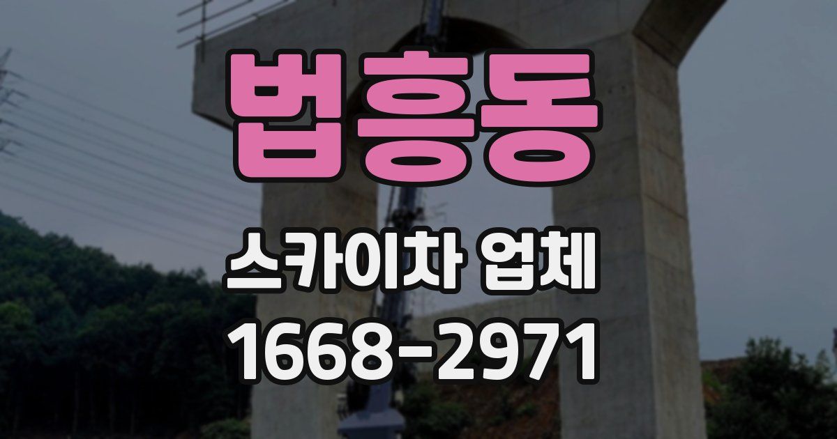 법흥동 스카이차 업체