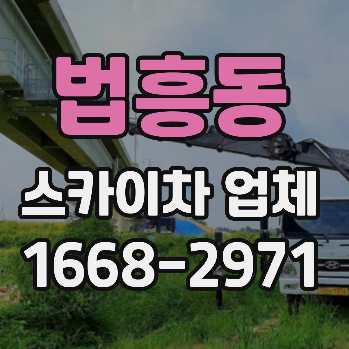 법흥동 스카이차 업체