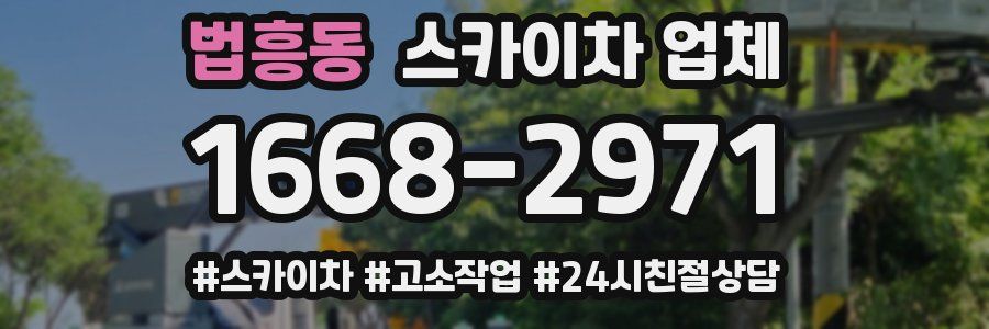 법흥동 스카이차 업체