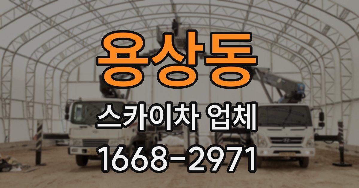 용상동 스카이차 업체