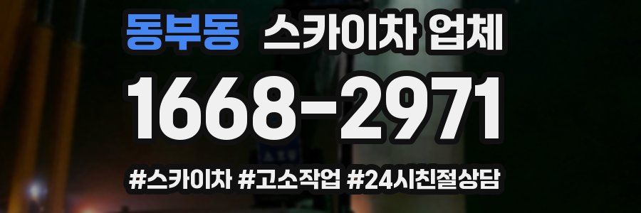동부동 스카이차 업체