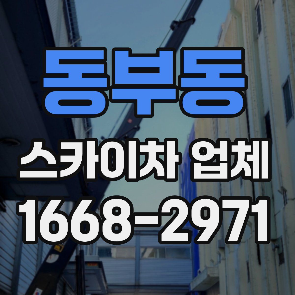 동부동 스카이차 업체