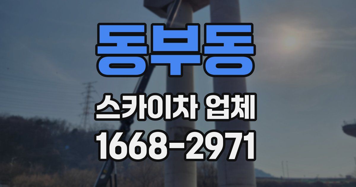 동부동 스카이차 업체