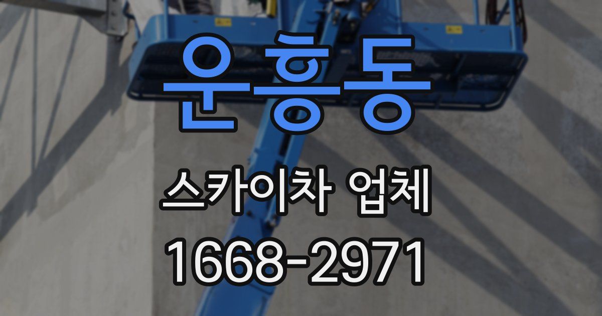 운흥동 스카이차 업체