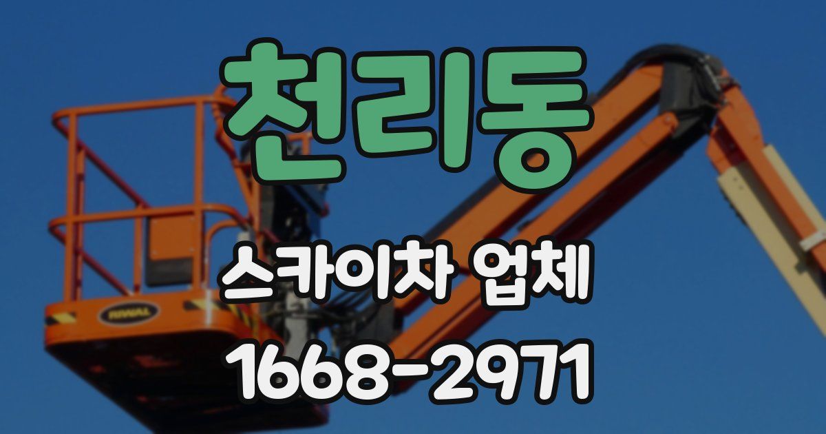 천리동 스카이차 업체