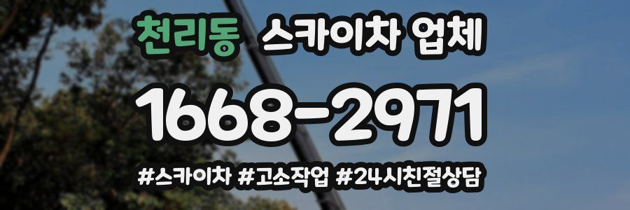 천리동 스카이차 업체
