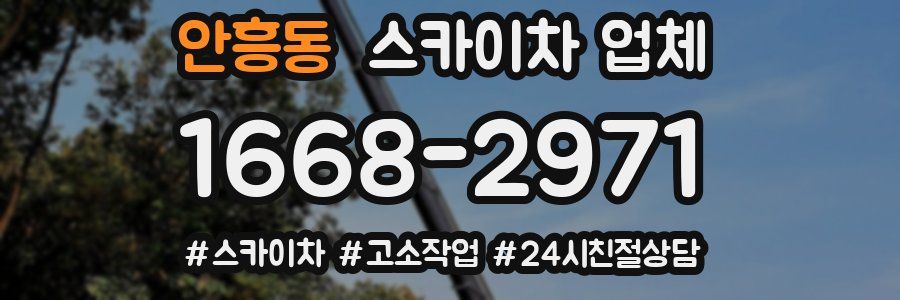 안흥동 스카이차 업체