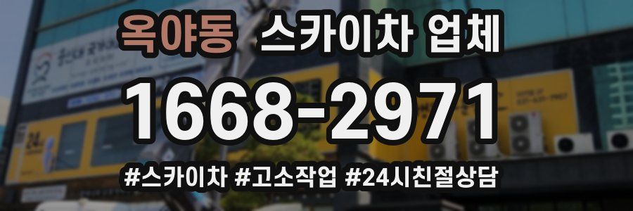 옥야동 스카이차 업체
