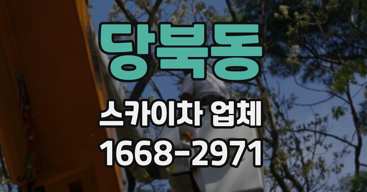 당북동 스카이차 업체