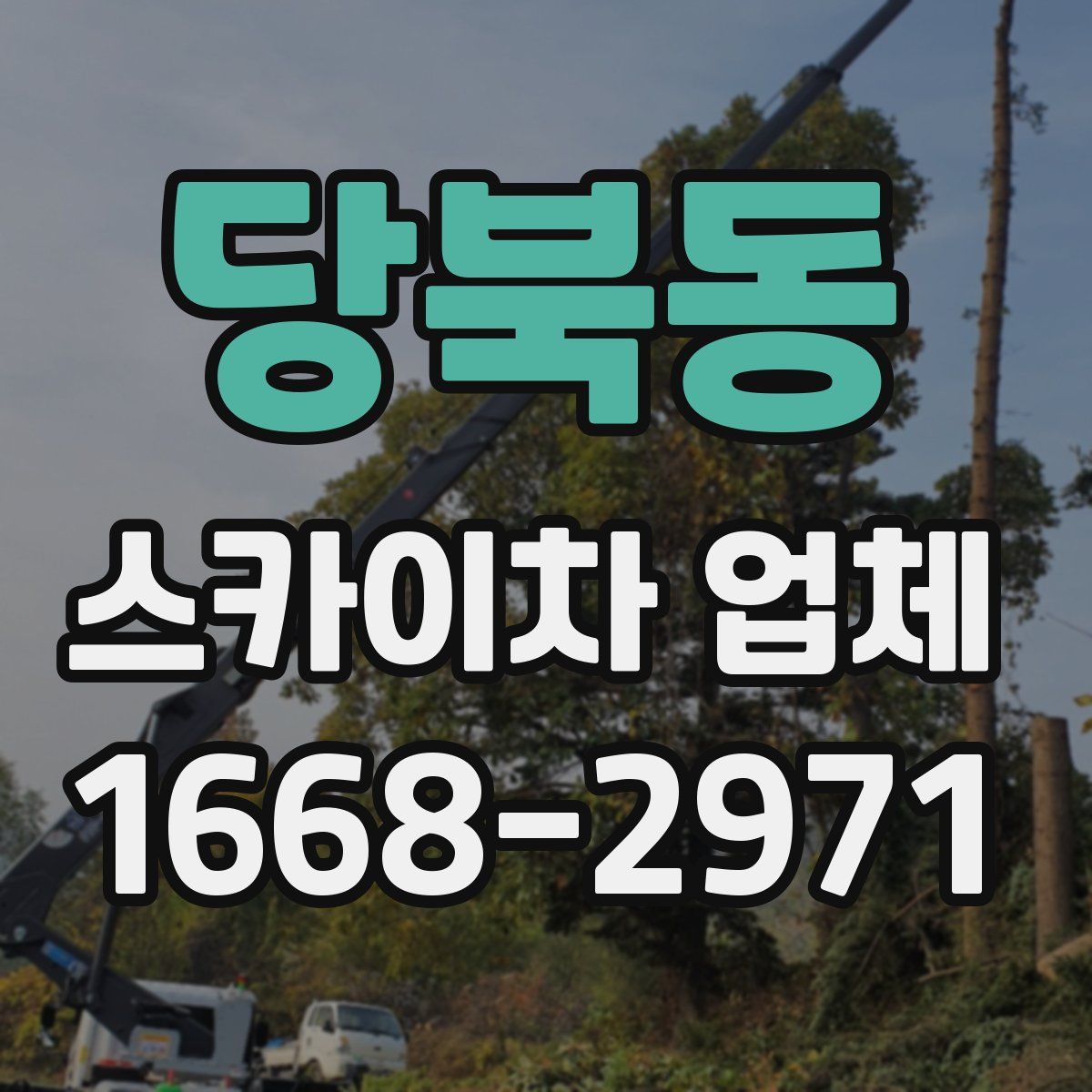 당북동 스카이차 업체