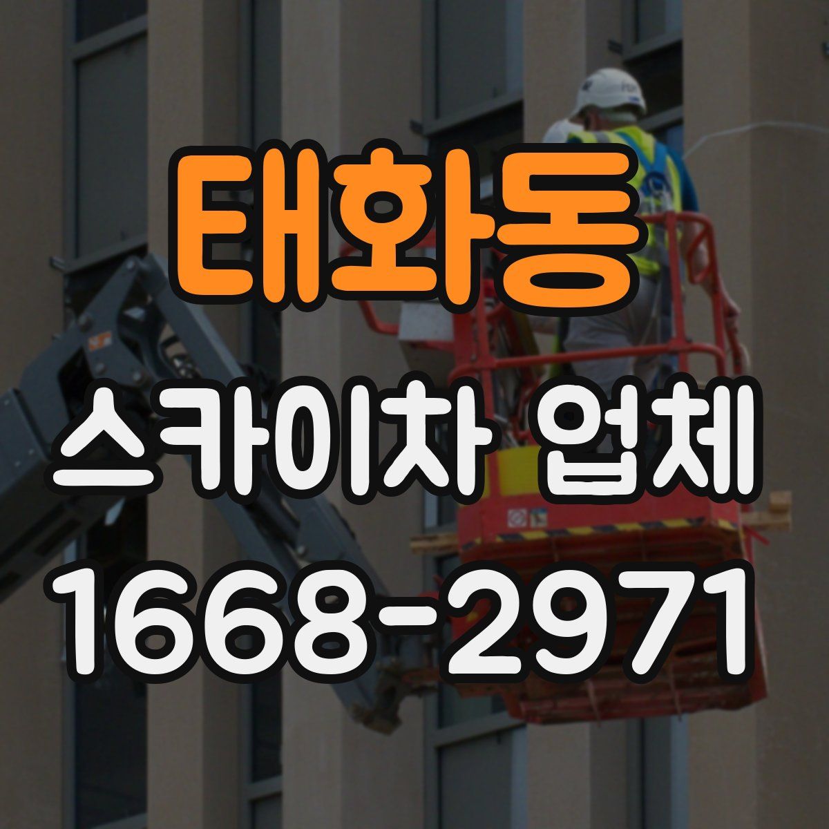 태화동 스카이차 업체