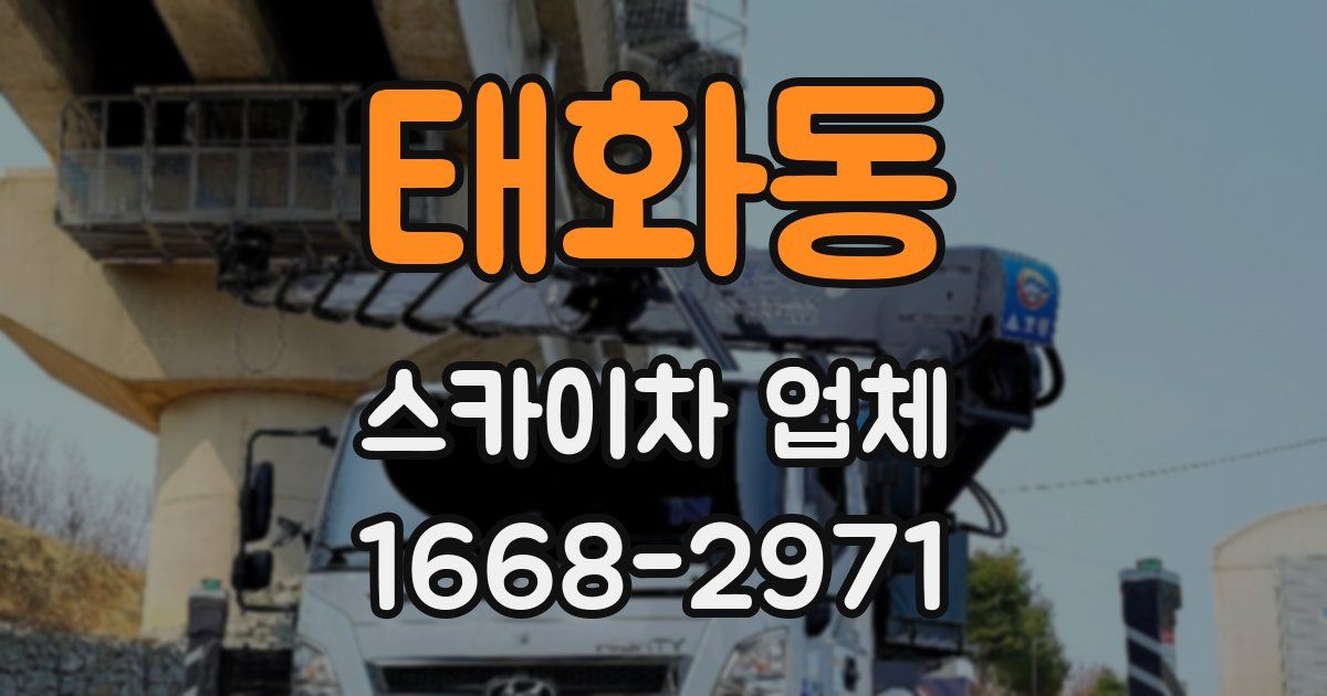 태화동 스카이차 업체