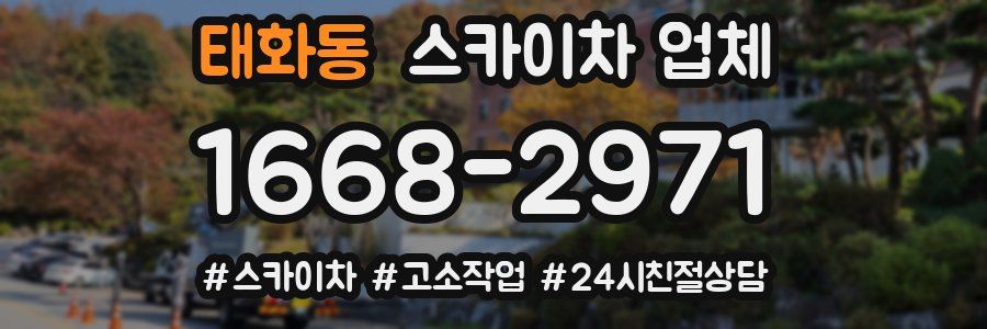 태화동 스카이차 업체