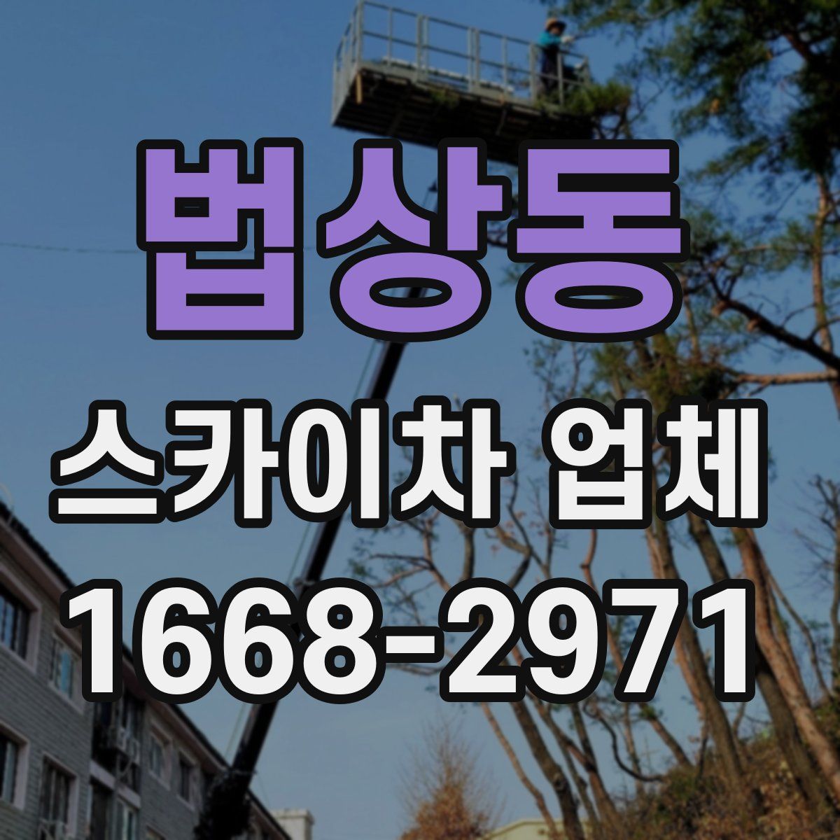 법상동 스카이차 업체