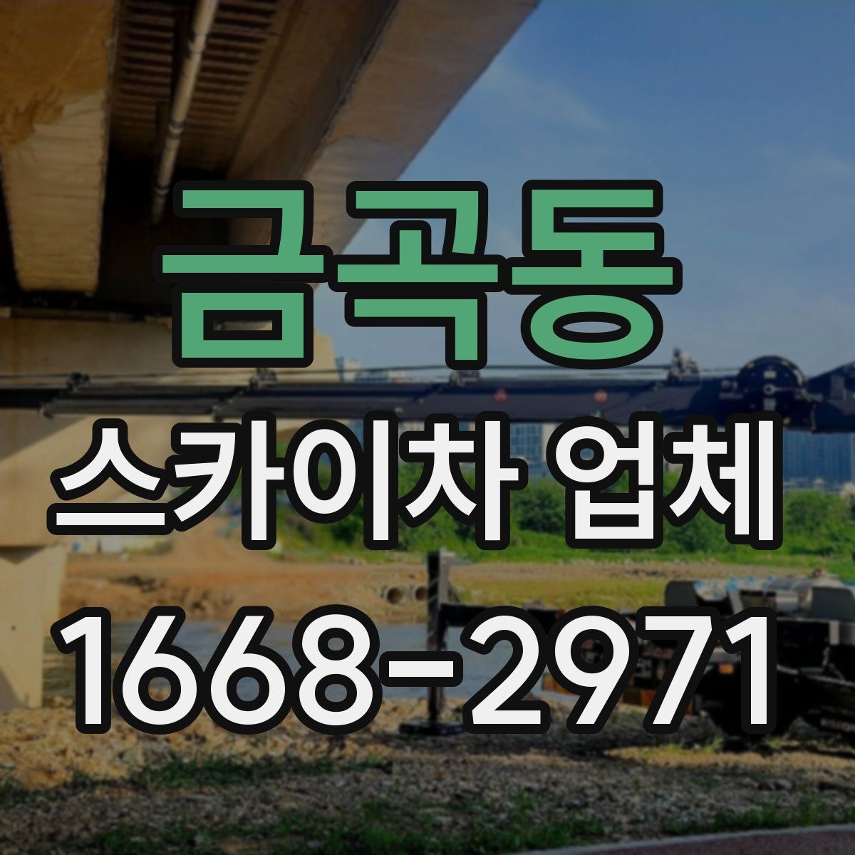 금곡동 스카이차 업체