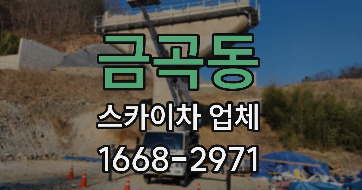 금곡동 스카이차 업체