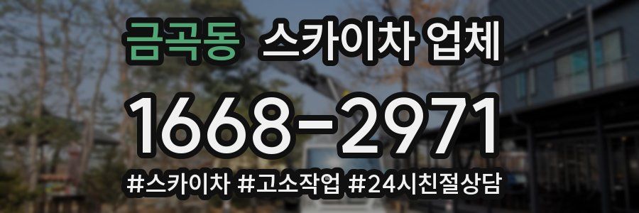 금곡동 스카이차 업체