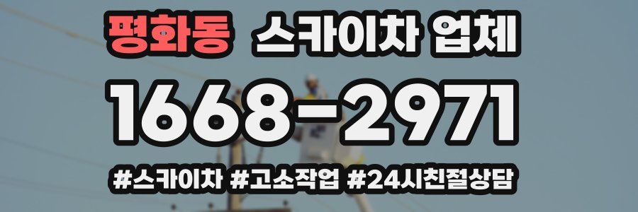 평화동 스카이차 업체