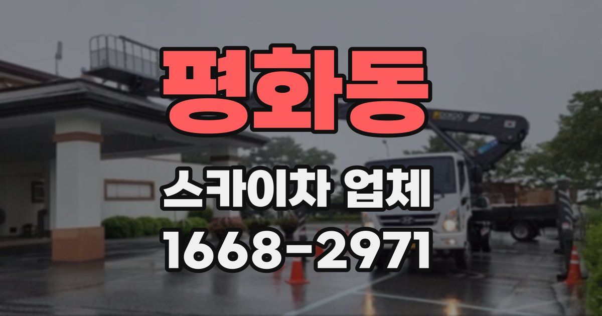 평화동 스카이차 업체