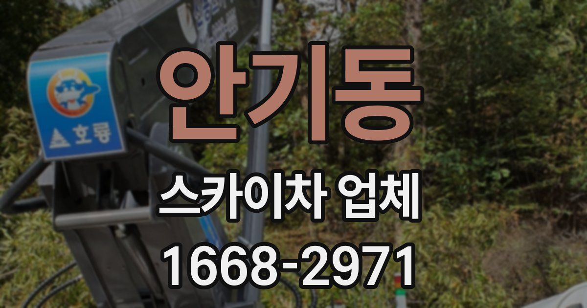 안기동 스카이차 업체