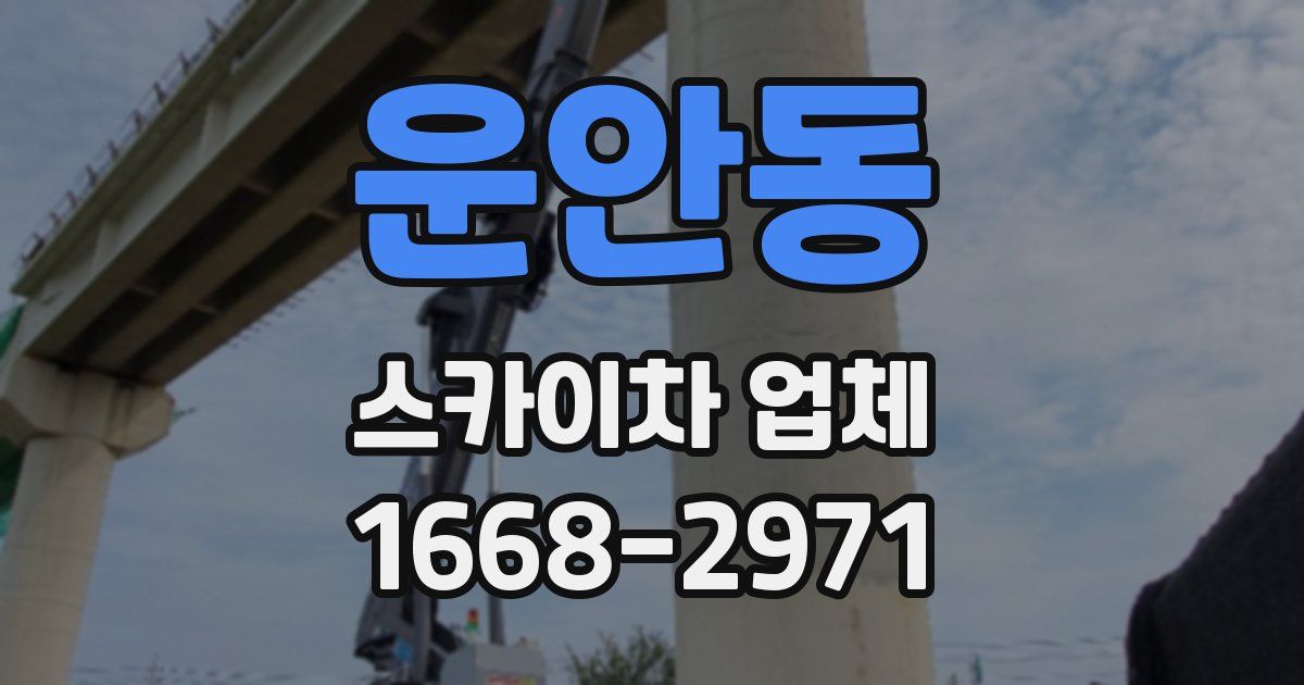 운안동 스카이차 업체