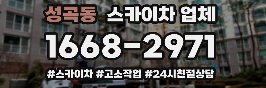 성곡동 스카이차 업체