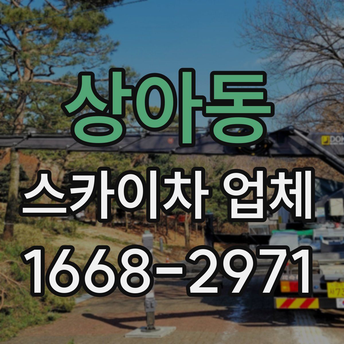 상아동 스카이차 업체