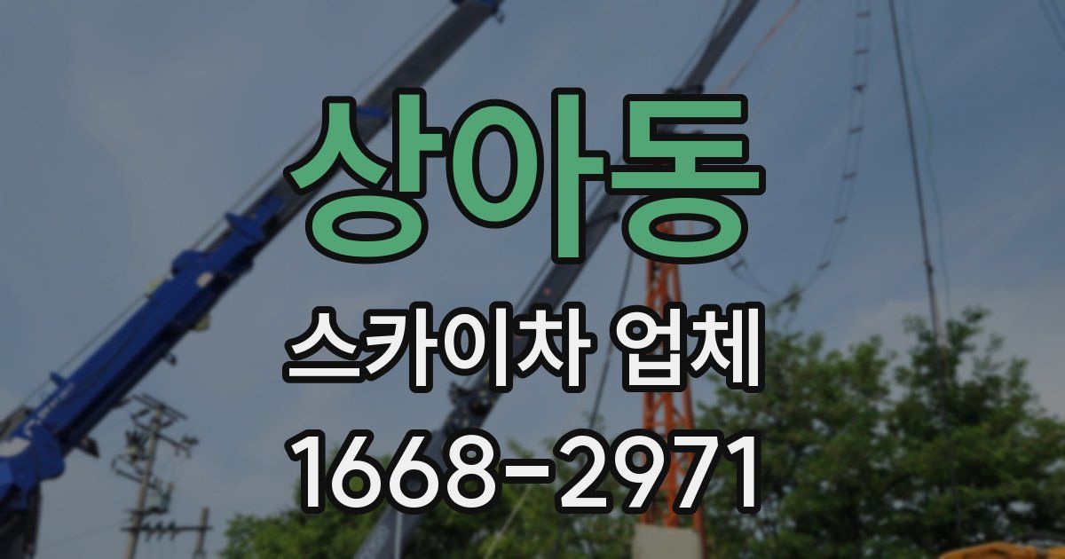 상아동 스카이차 업체