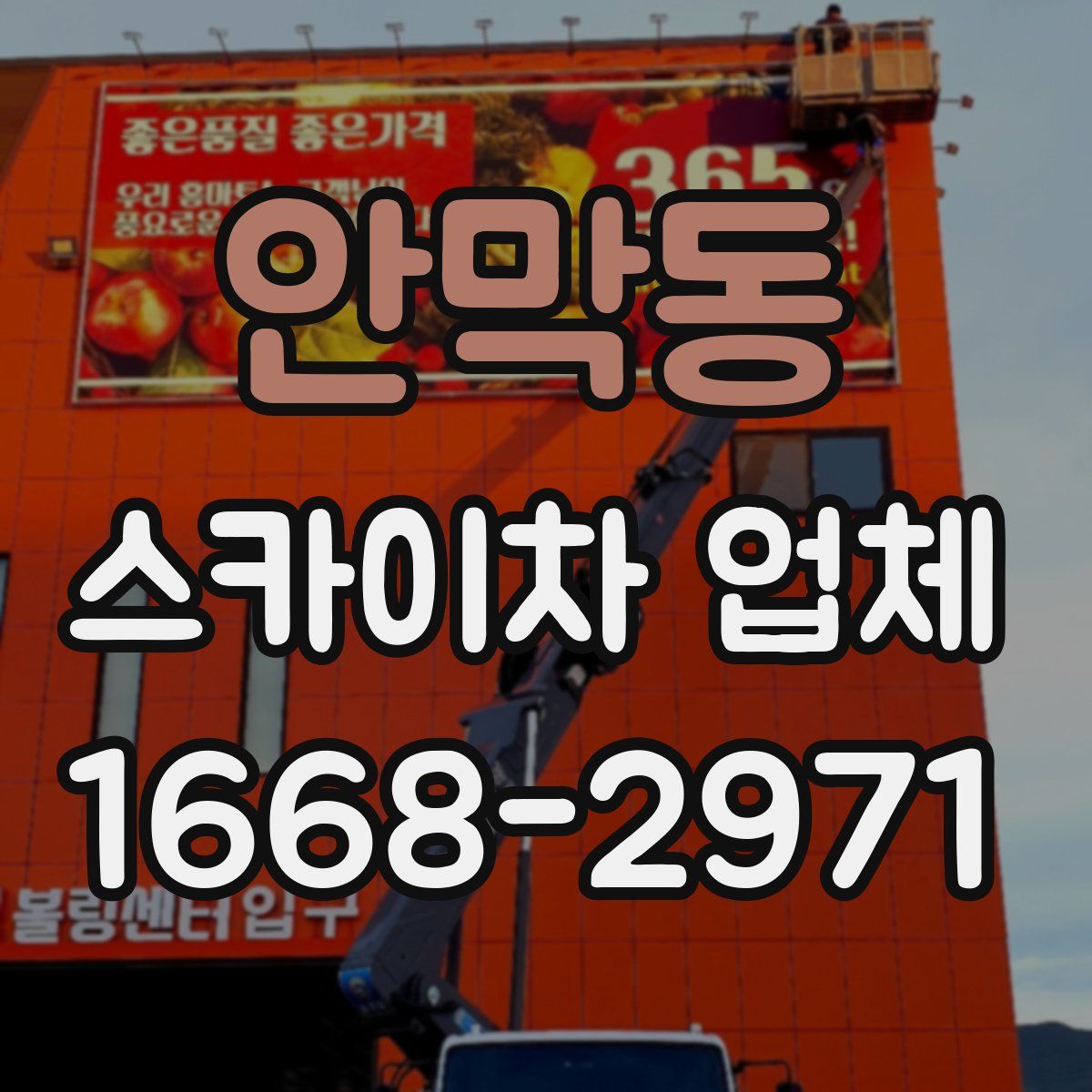 안막동 스카이차 업체
