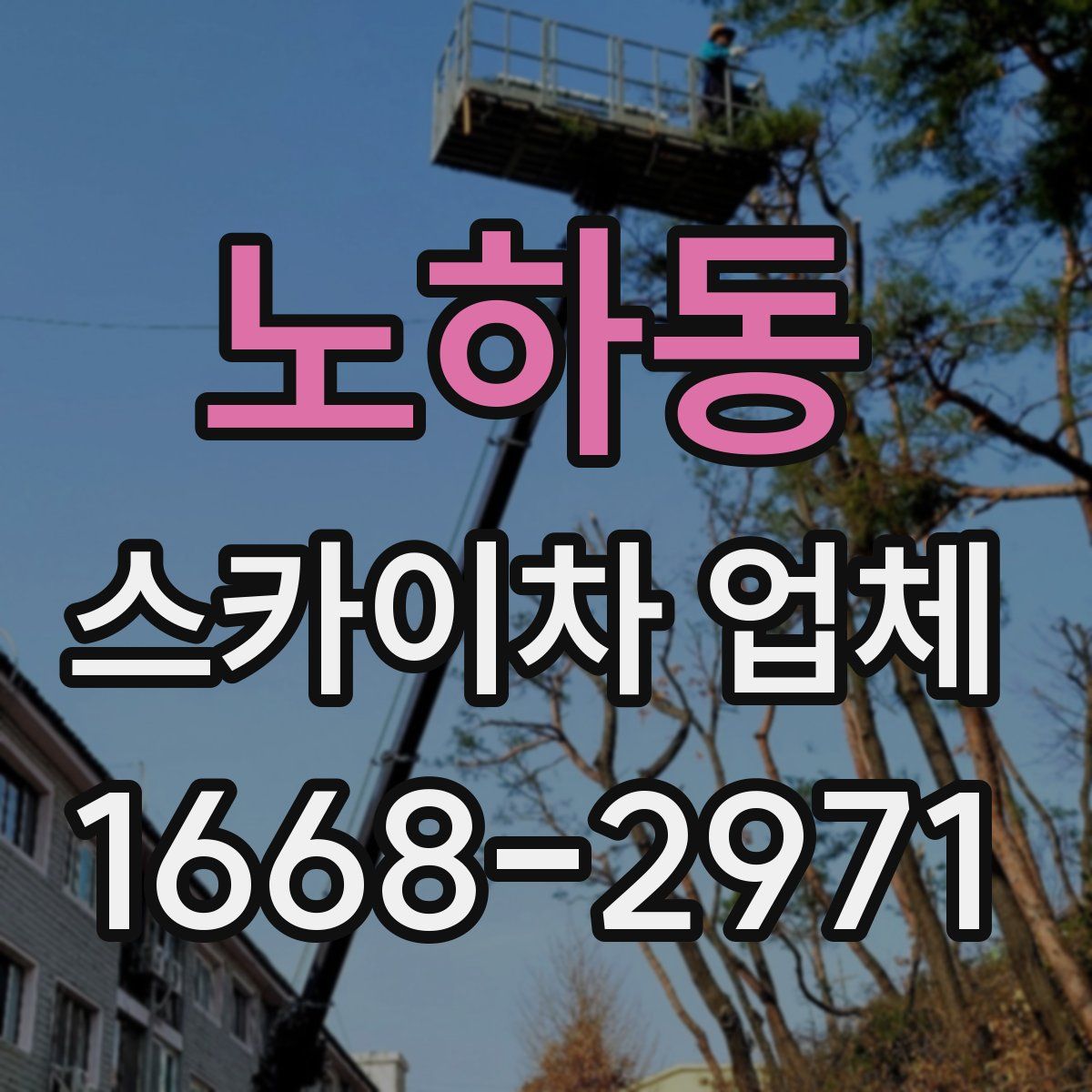 노하동 스카이차 업체