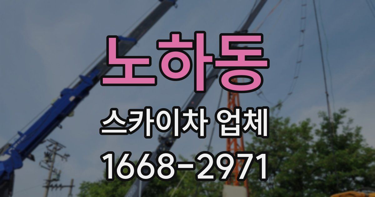 노하동 스카이차 업체