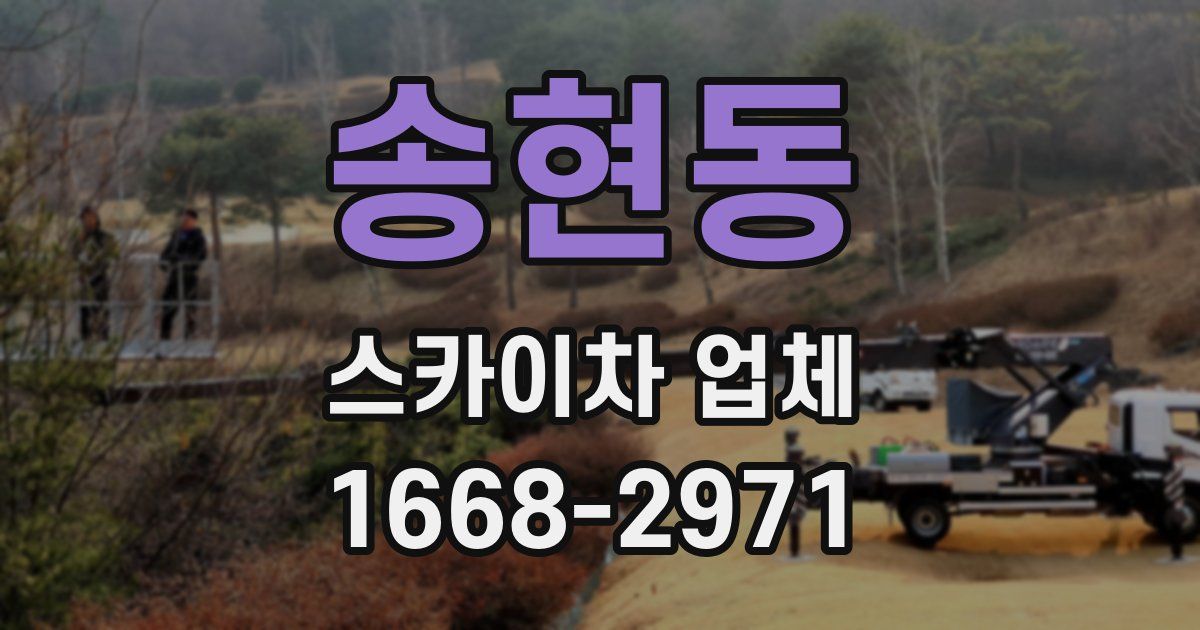 송현동 스카이차 업체
