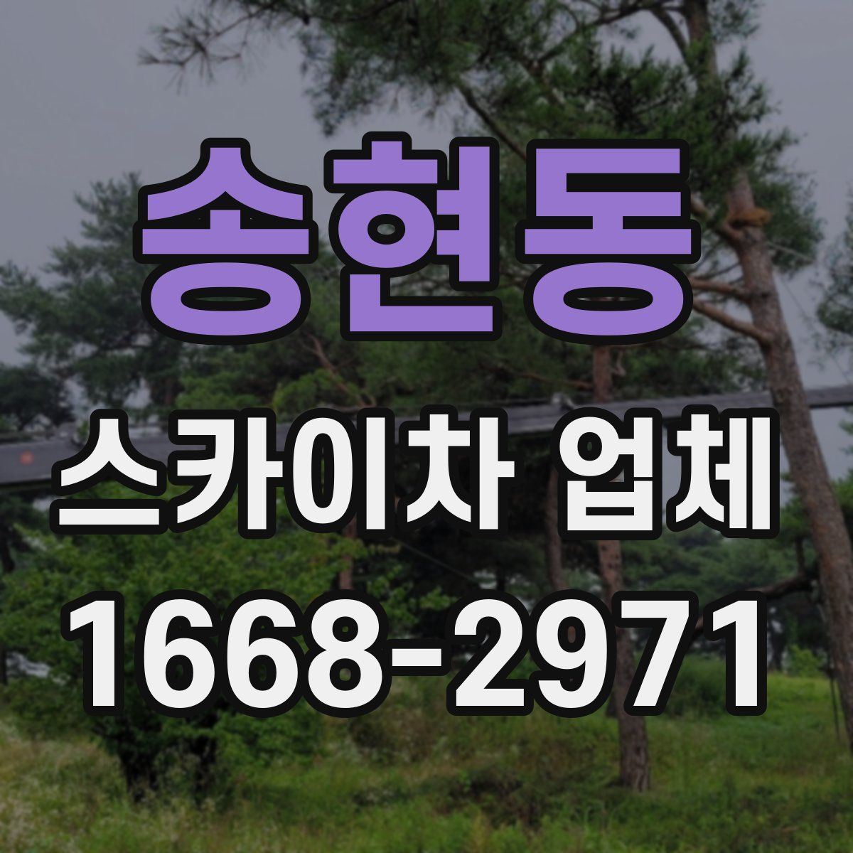 송현동 스카이차 업체