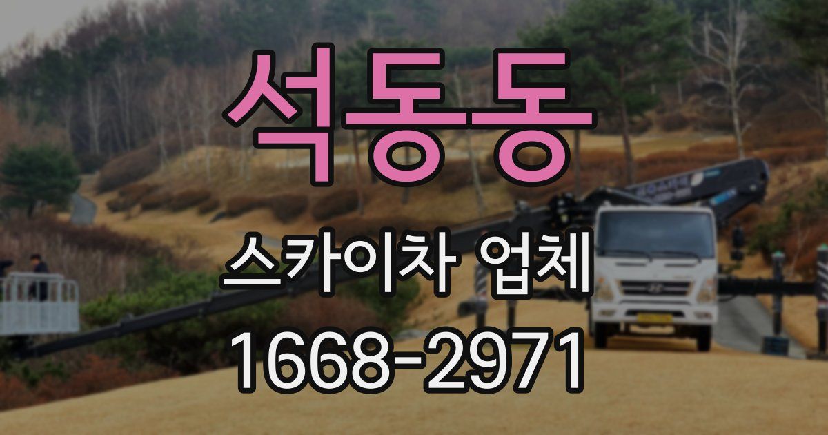 석동동 스카이차 업체