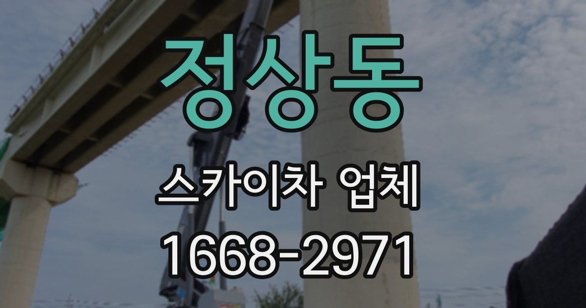 정상동 스카이차 업체