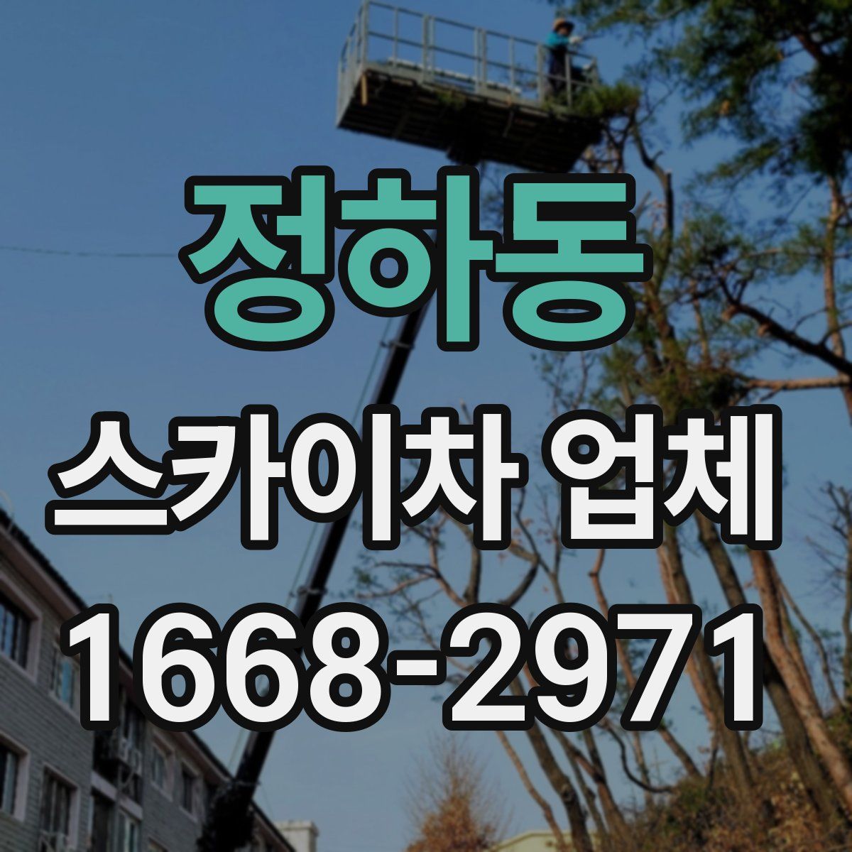 정하동 스카이차 업체