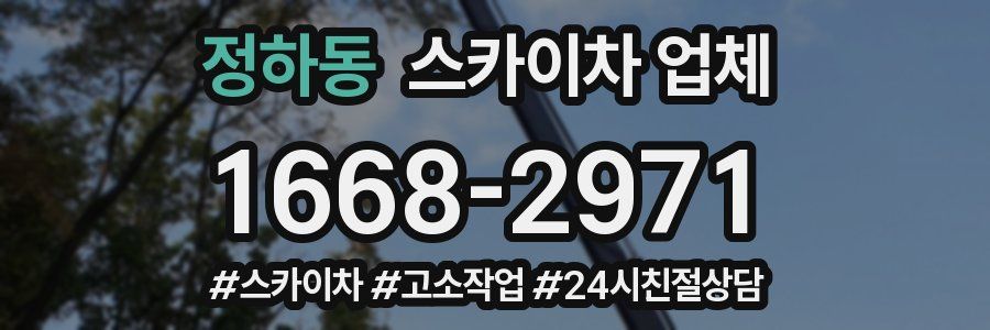 정하동 스카이차 업체