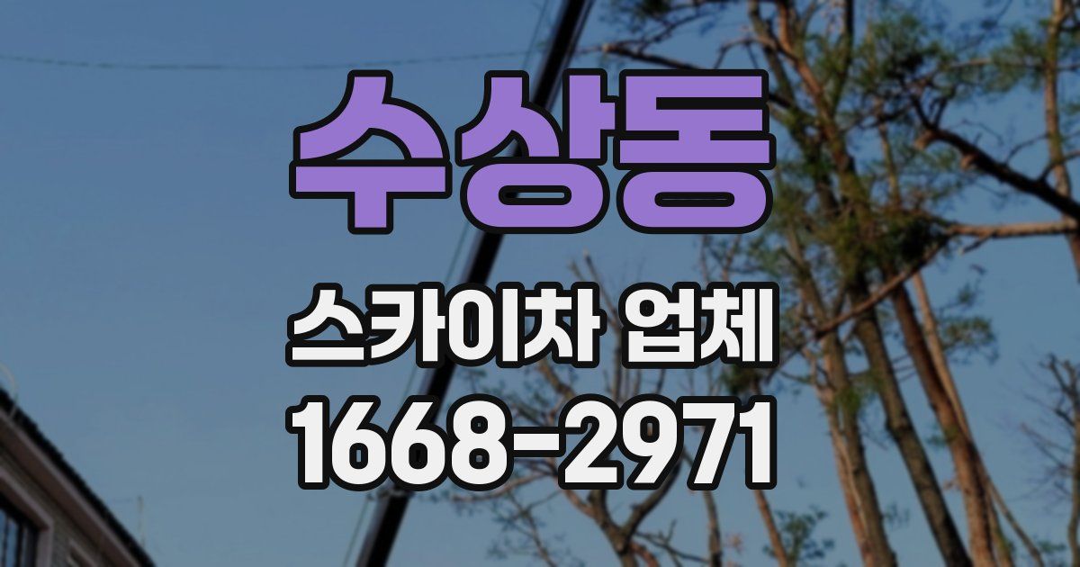 수상동 스카이차 업체
