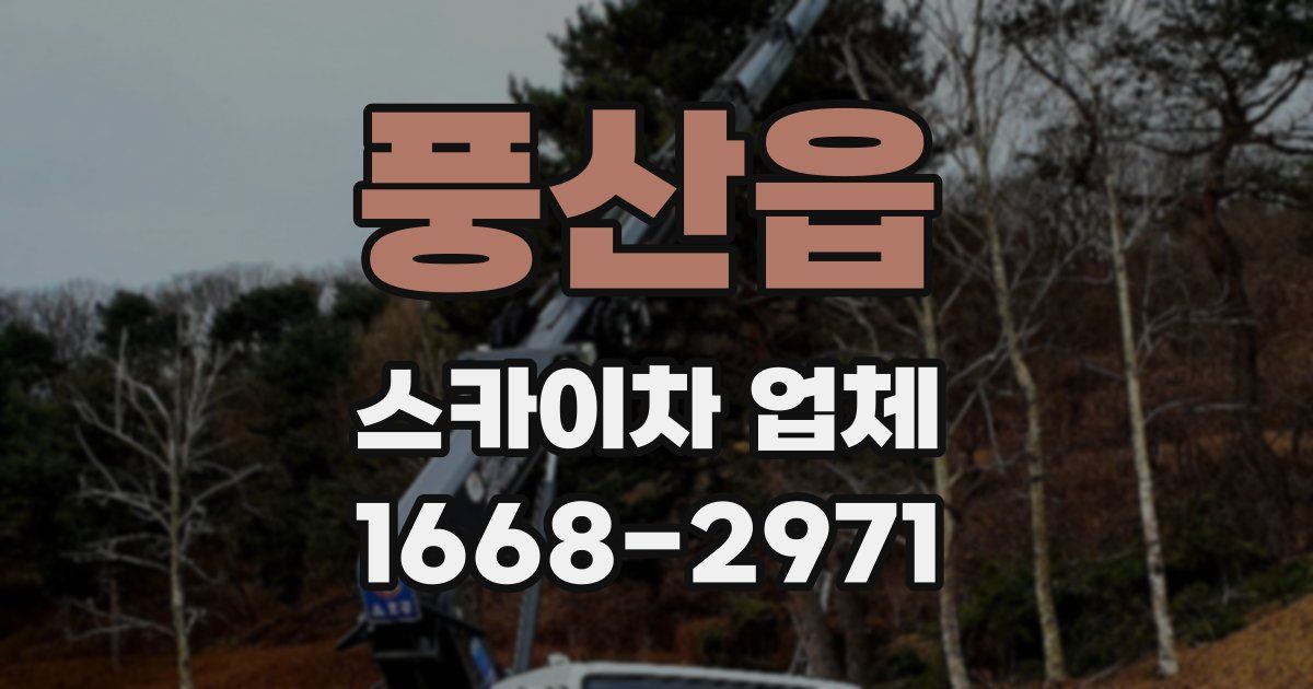 풍산읍 스카이차 업체