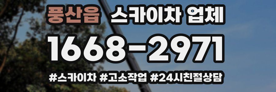 풍산읍 스카이차 업체