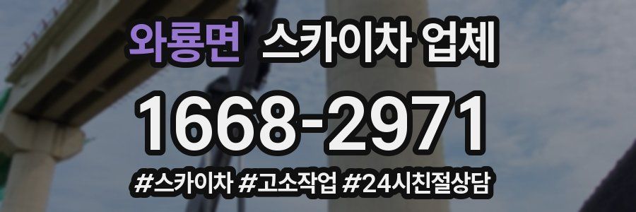 와룡면 스카이차 업체