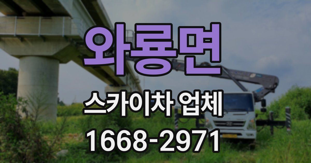 와룡면 스카이차 업체