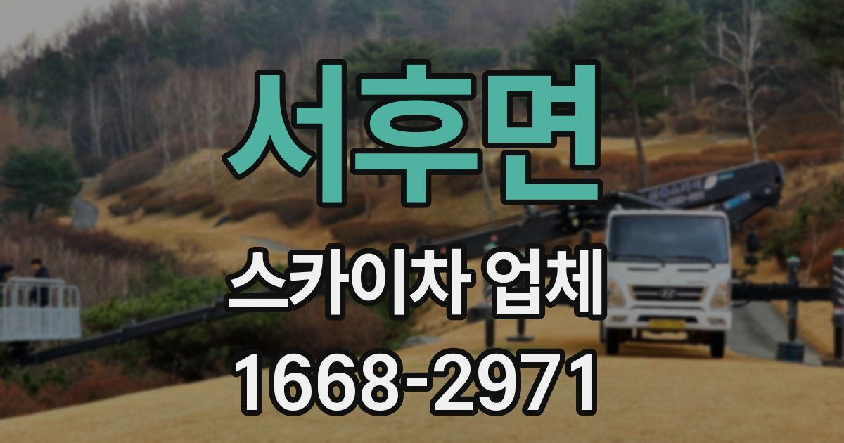 서후면 스카이차 업체