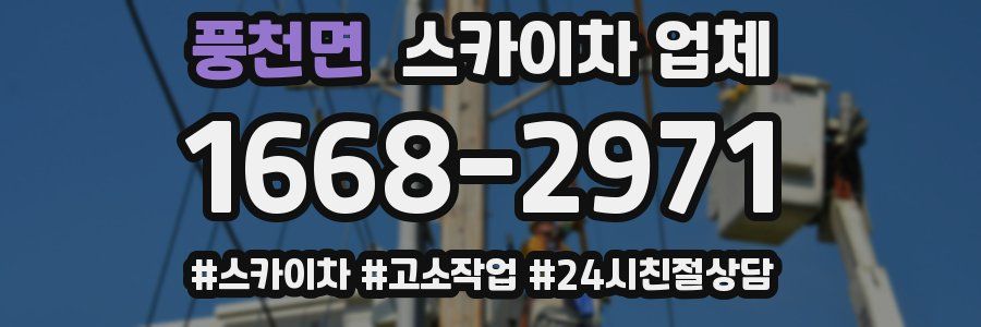 풍천면 스카이차 업체