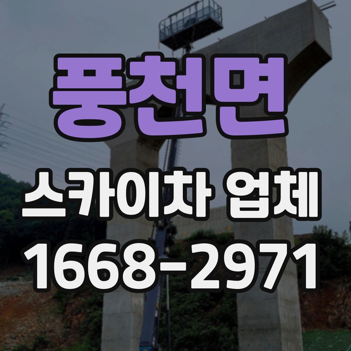 풍천면 스카이차 업체