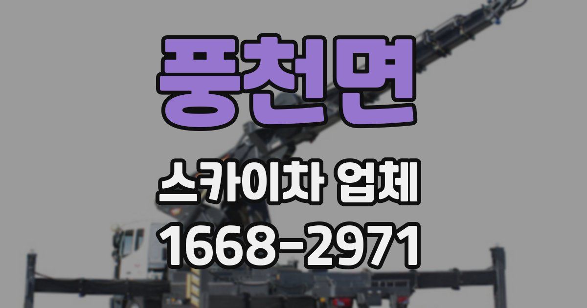 풍천면 스카이차 업체