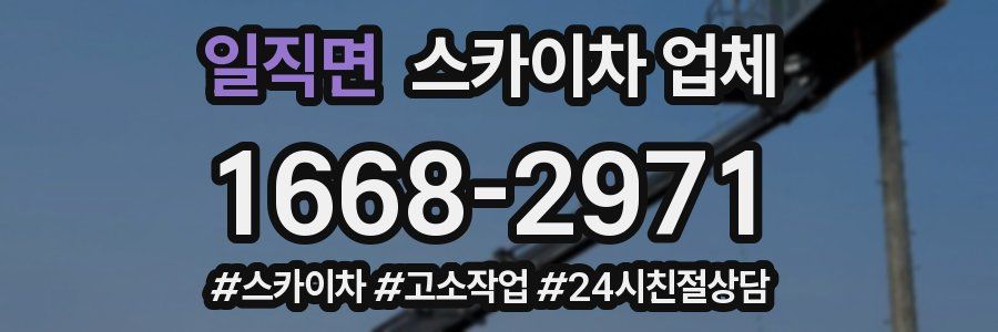 일직면 스카이차 업체