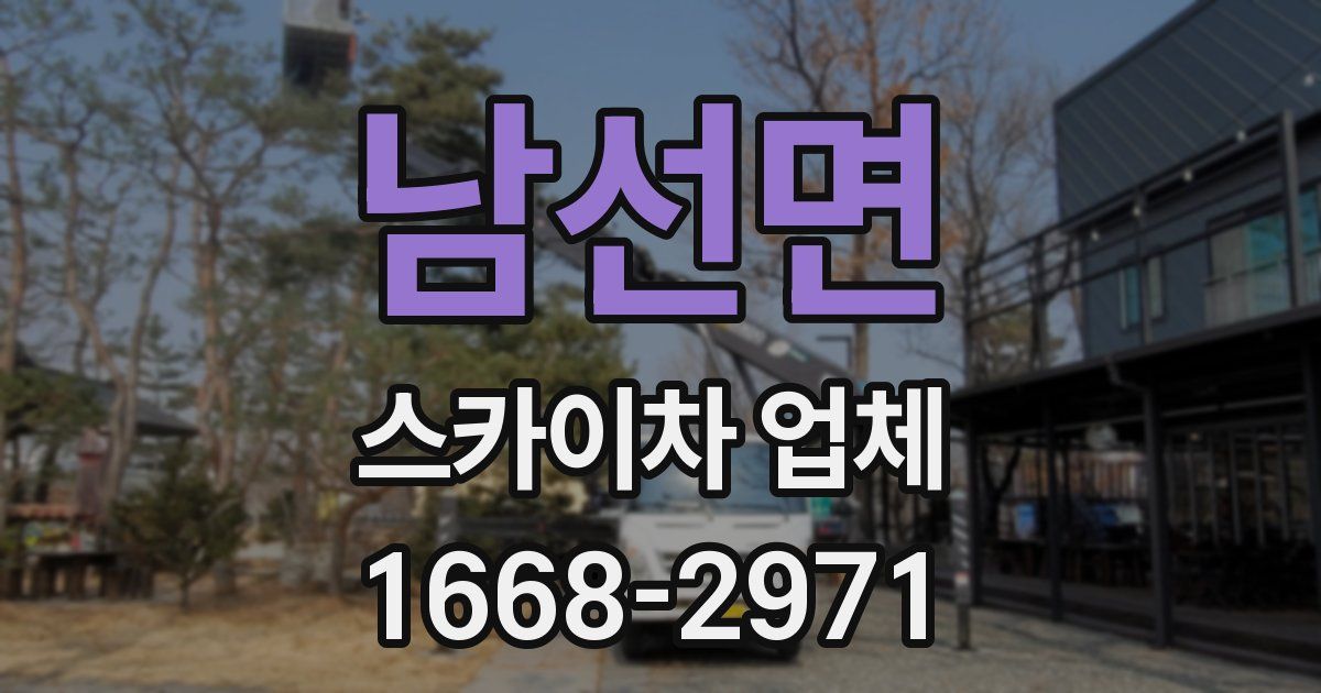 남선면 스카이차 업체