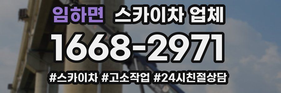 임하면 스카이차 업체