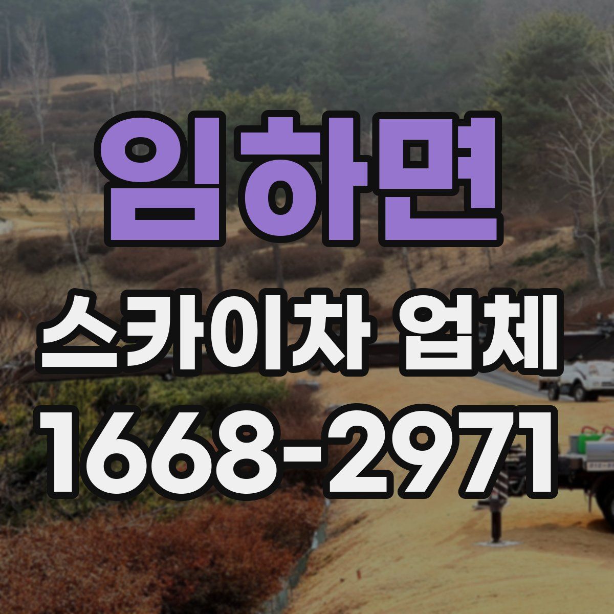 임하면 스카이차 업체